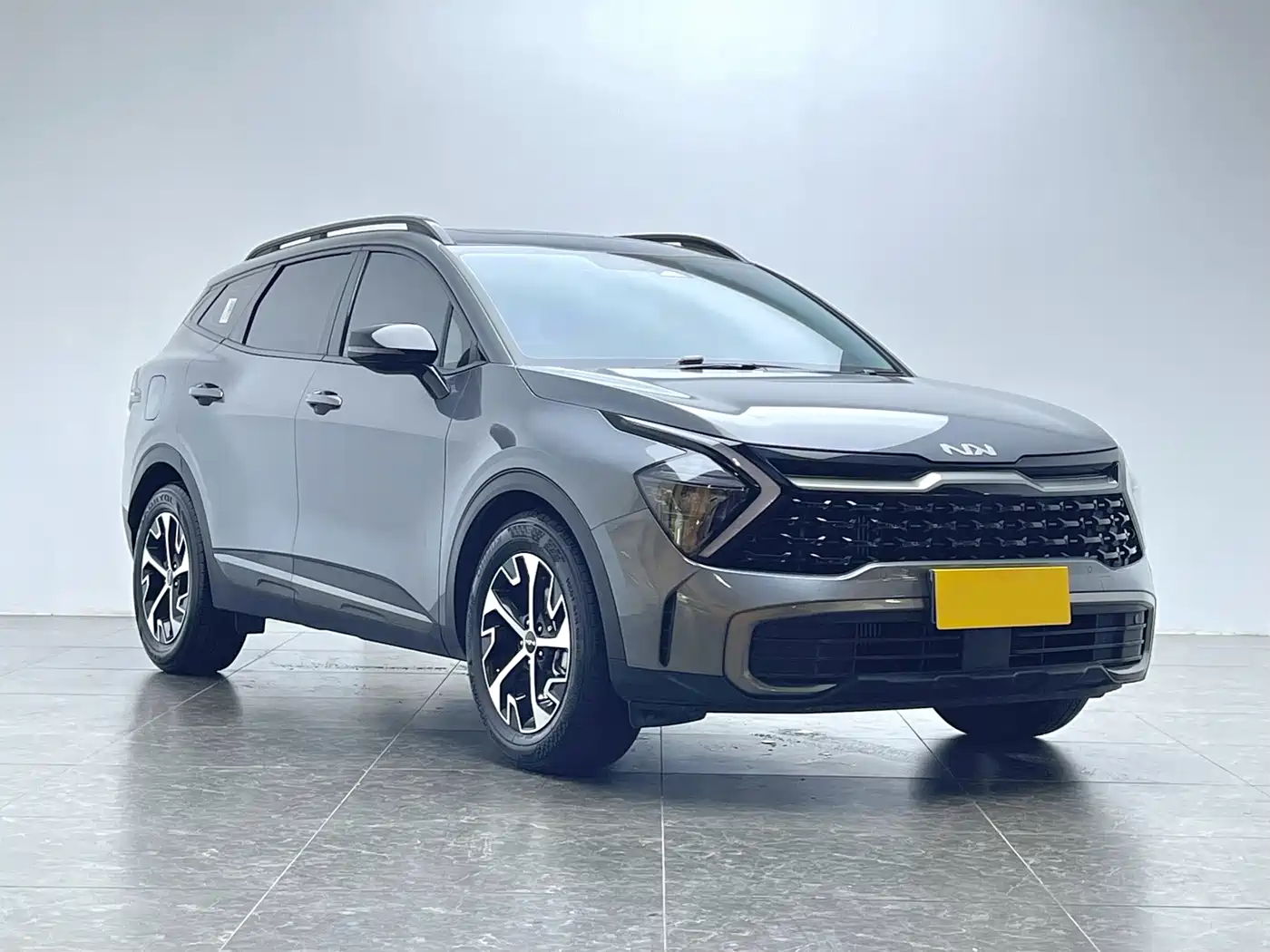 KIA LION PLATINUM EXPANDS THE WORLD