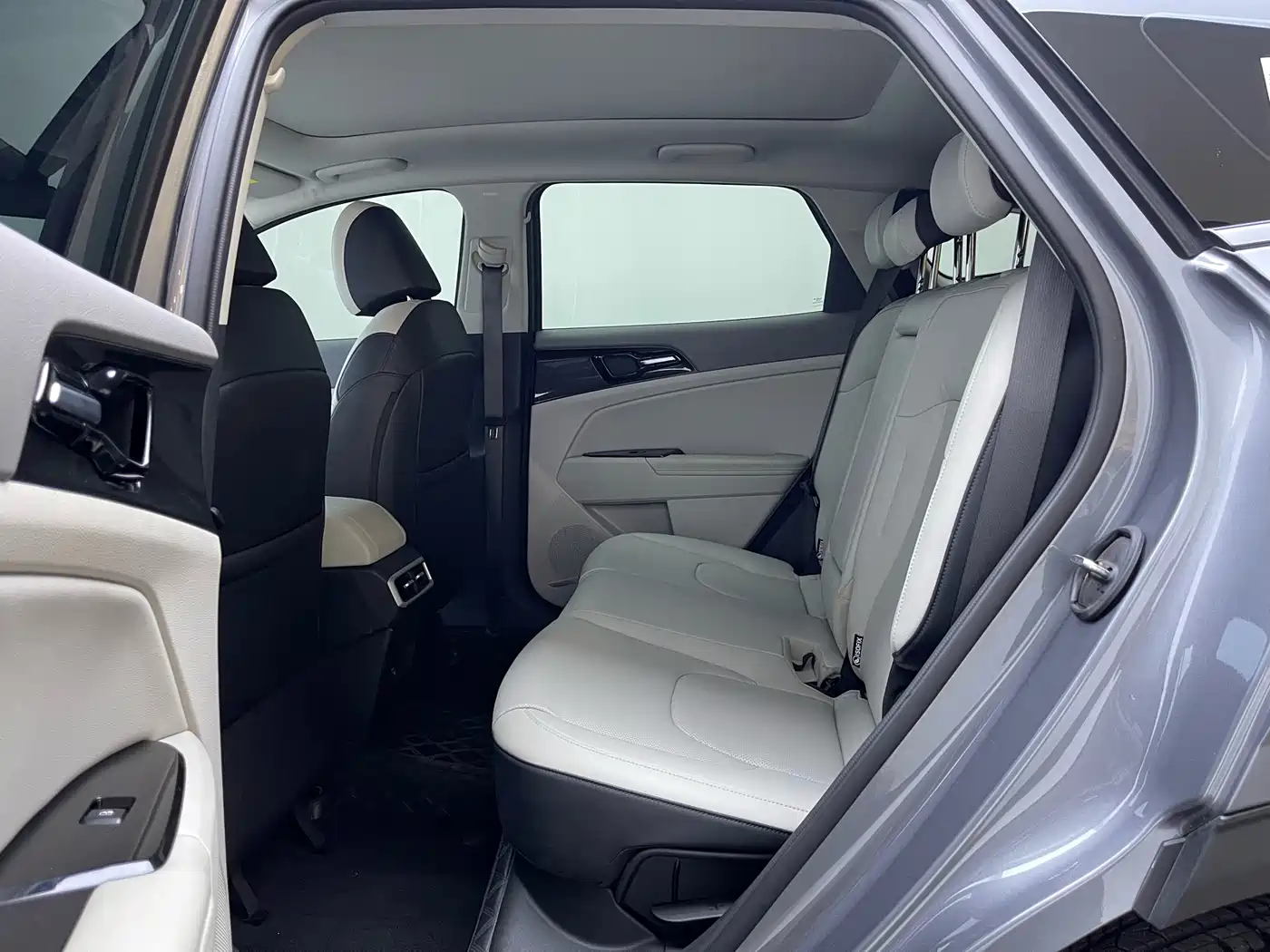 KIA LION PLATINUM EXPANDS THE WORLD