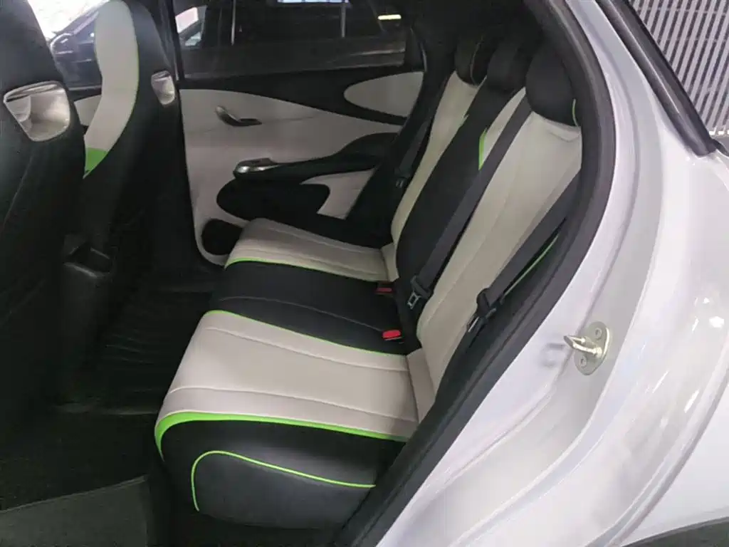 BYD Dolphin 2021 Model 405km Fashion Edition фото 17