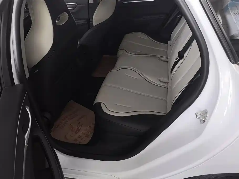 BYD Destroyer 05 2024 Glory Edition DM-i 55KM Luxury фото 11