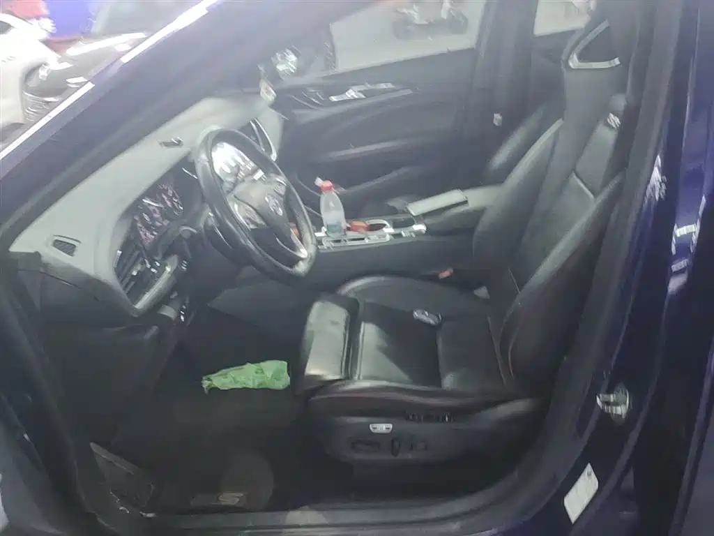 Buick Regal 2023 GS Premium фото 15