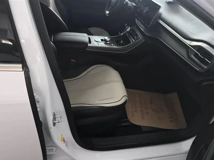 BYD Destroyer 05 2024 Glory Edition DM-i 55KM Luxury фото 8