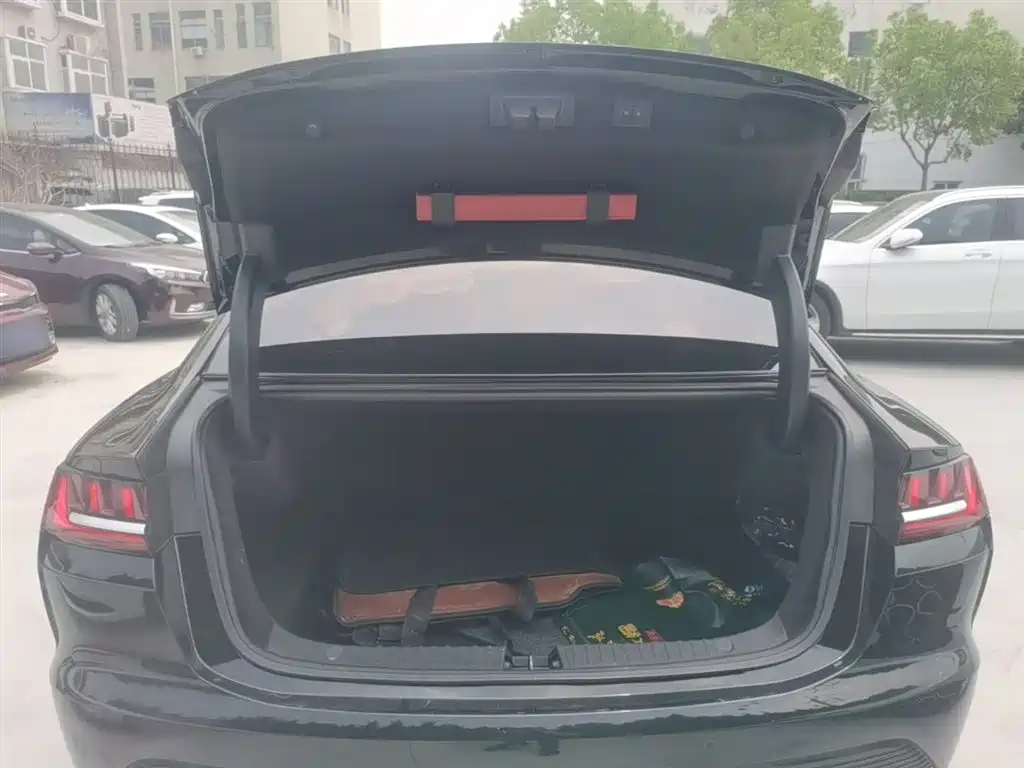 BYD Han 2021 EV Standard Range Luxury фото 19