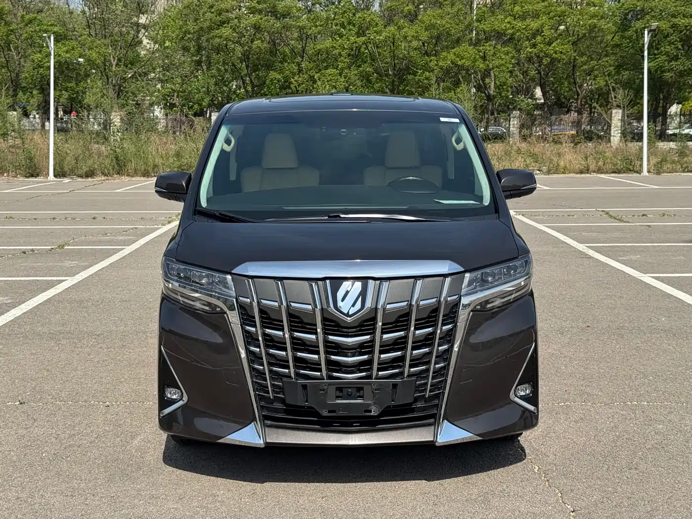Toyota Alphard 2018 Facelift 3.5L Premium Edition фото 2