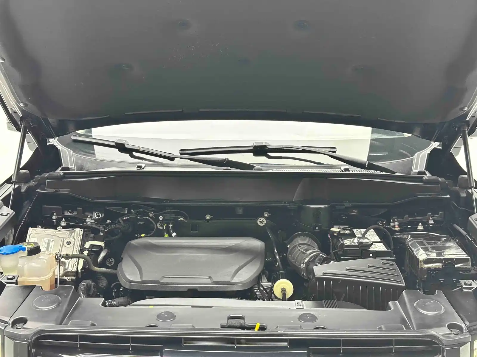 صورة 22 - Haval Dargo