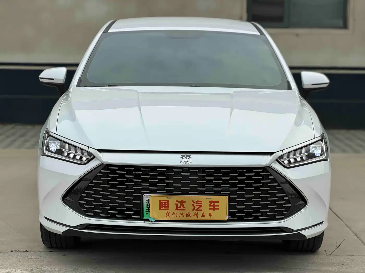 BYD Qin PLUS 2024 Glory Edition DM-i 55KM Leading фото 3