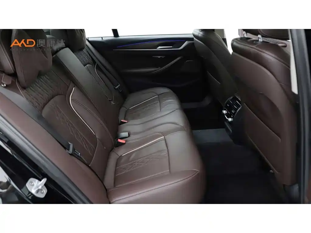 BMW 5 Series 2019 Facelift 530Li Premium Luxury Package фото 8