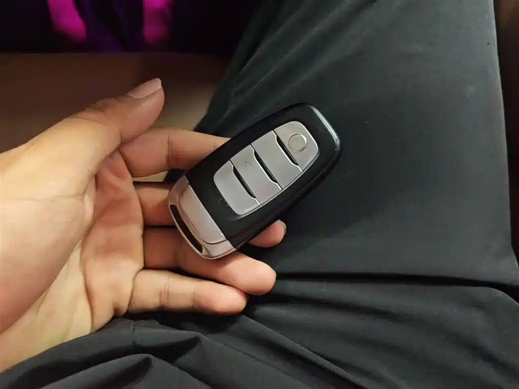 Hongqi H9 2020 3.0T Smart Connection Qi Chang Edition фото 9