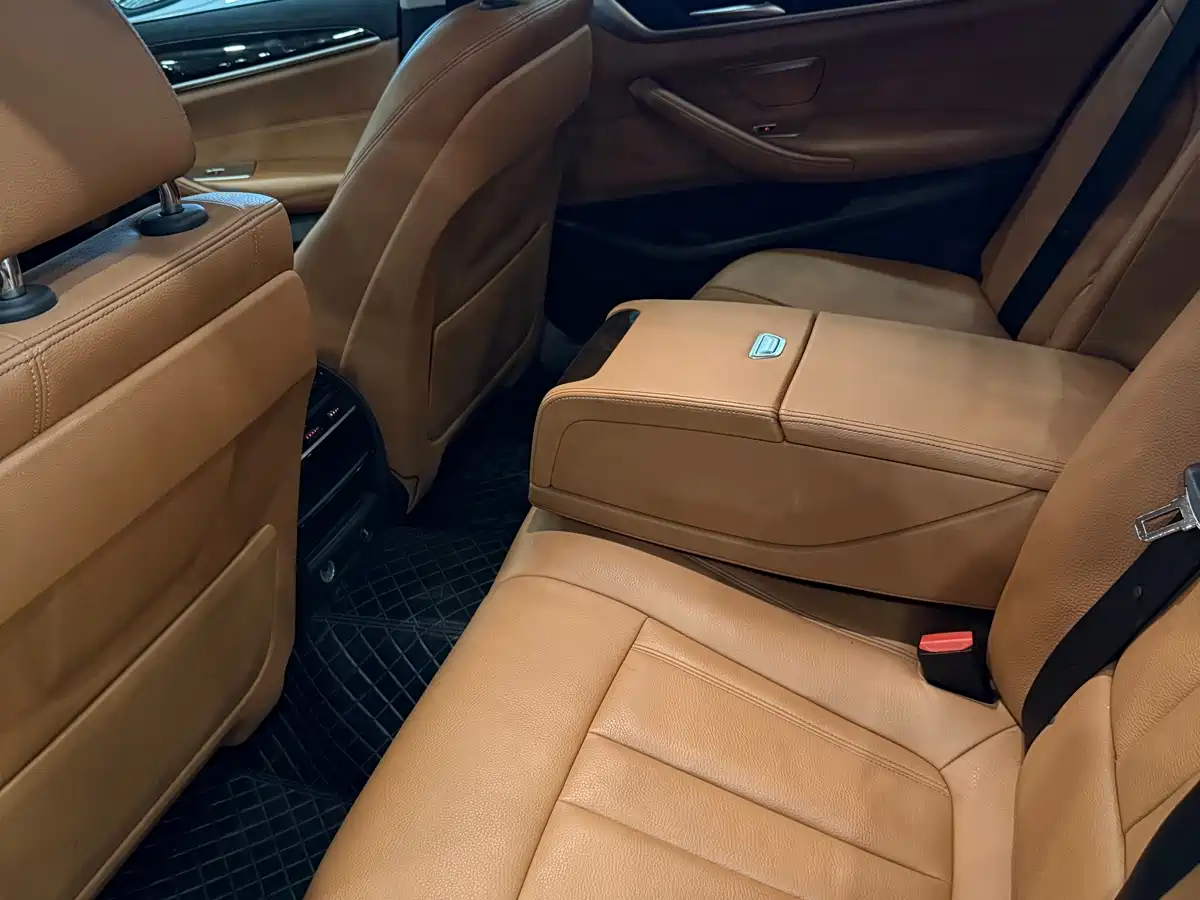 BMW 5 Series 2018 528Li Launch Special Edition фото 6