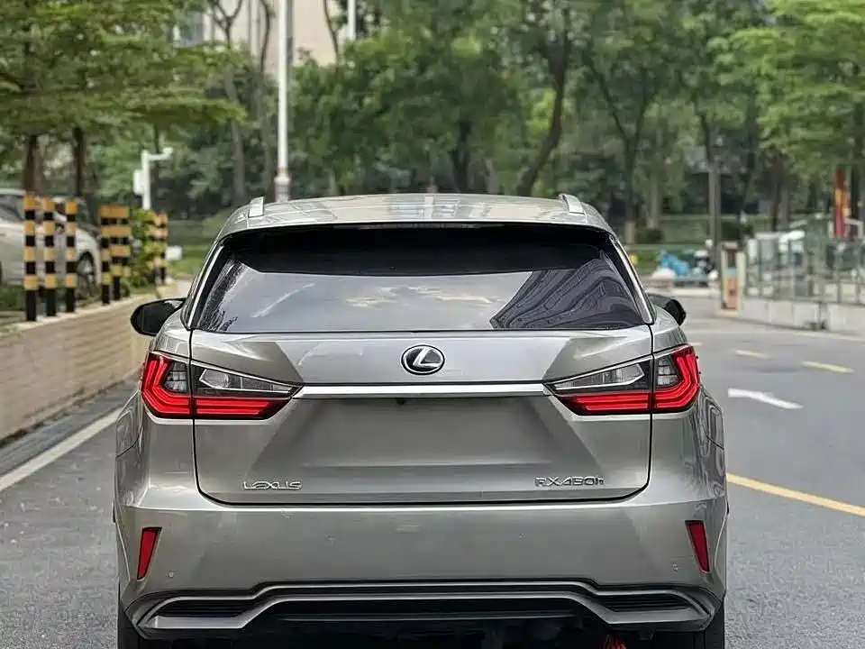 Фото 4 - Lexus RX