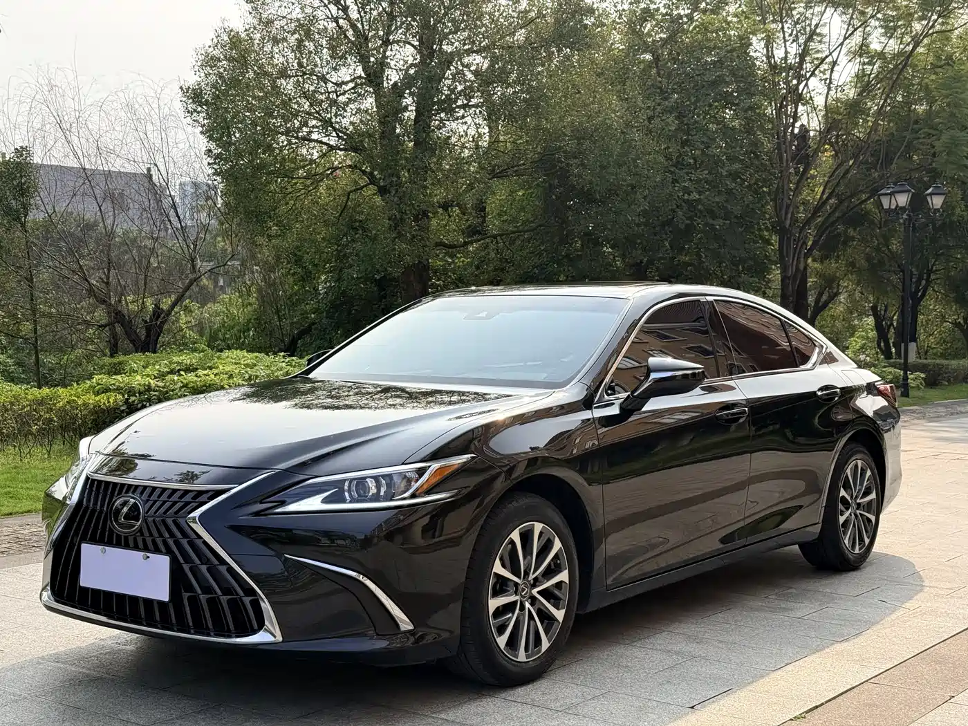 Lexus ES 2022 200 Excellence Edition