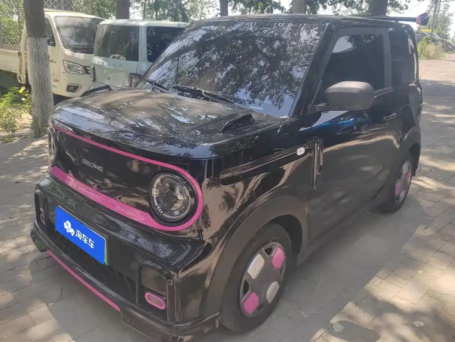 Geely Galaxy Panda 2025 Model Year 210km Panda Kart