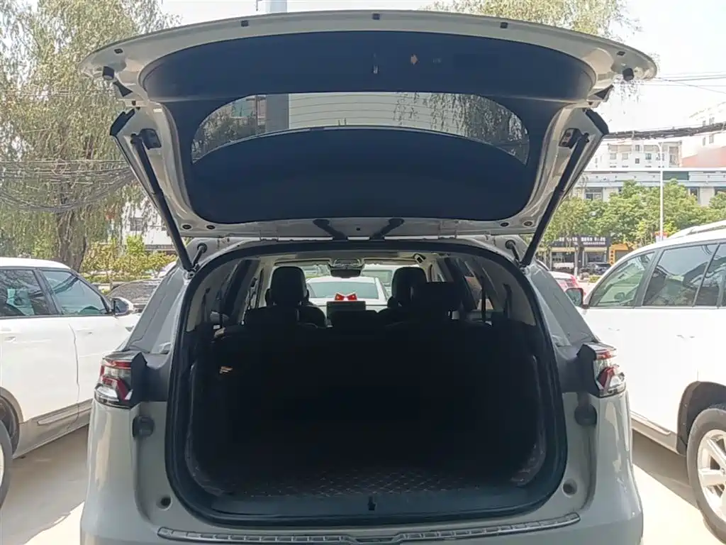 BYD Tang 2018 2.0T Automatic Smart Connection Noble Edition 7-Seater China V фото 19