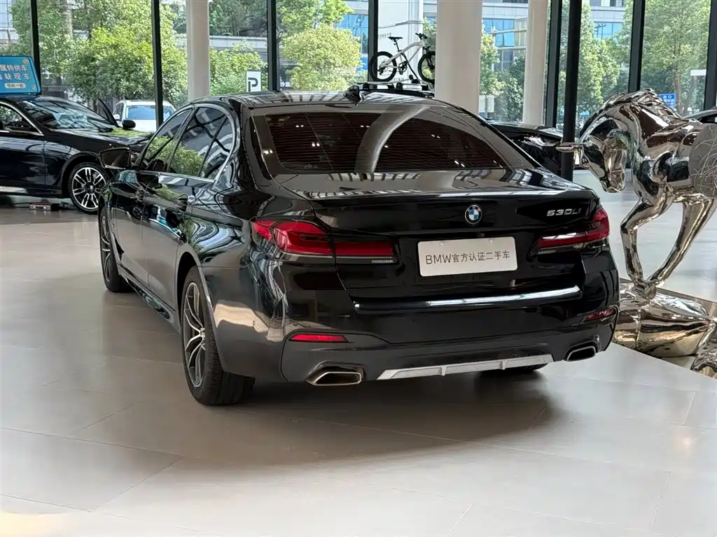 BMW 5 Series, миниатюра 6