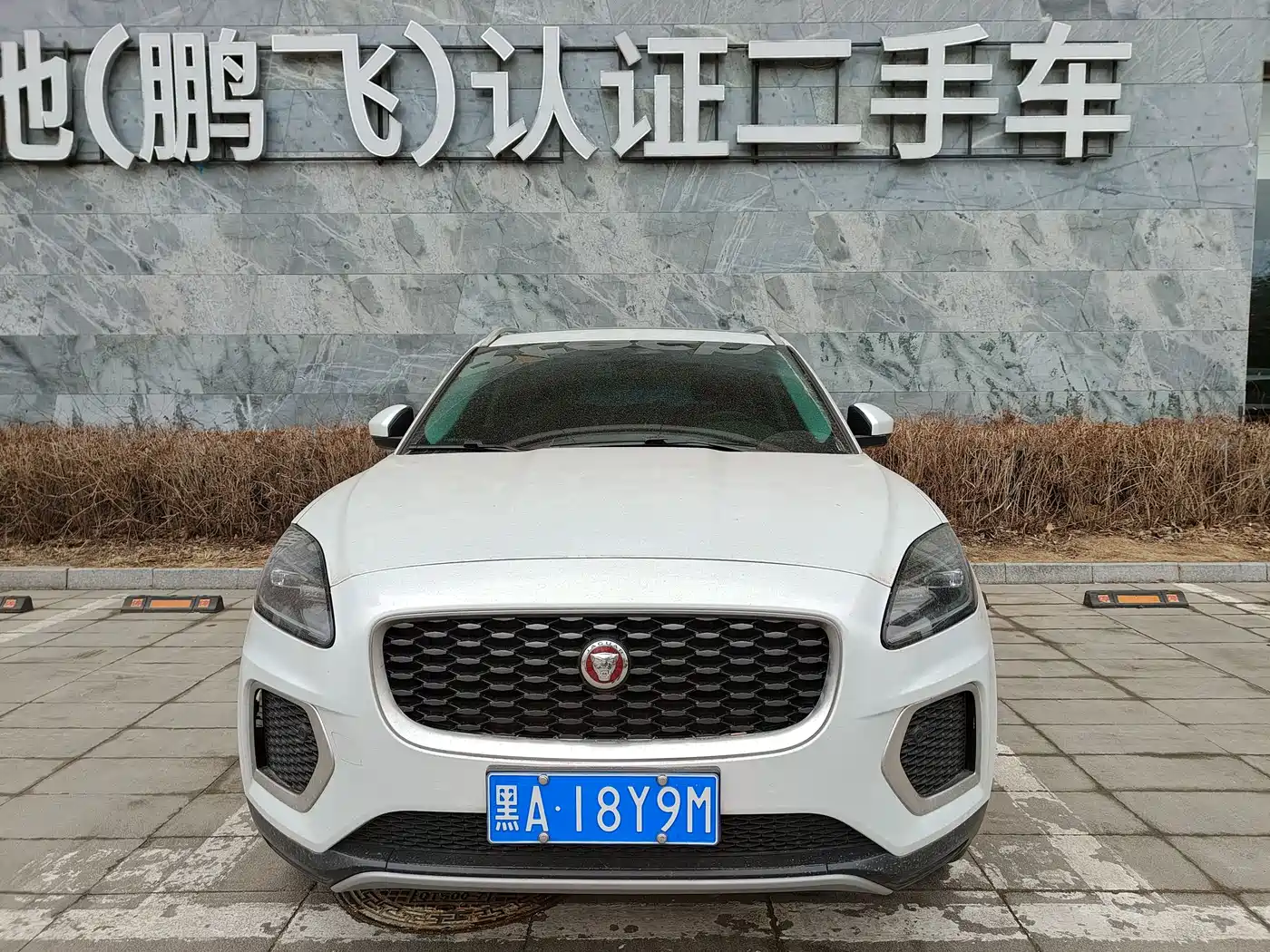 Jaguar E-PACE 2024 2024 Progressive Sport Edition R-DYNAMIC S