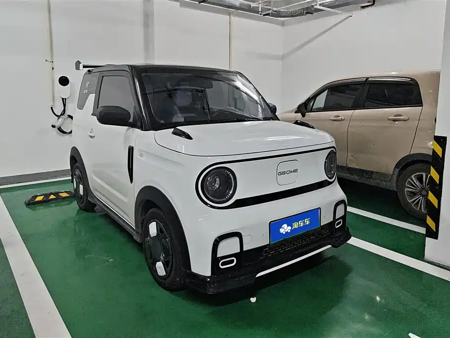Geely Galaxy Panda 2025 Model Year 210km Panda Kart