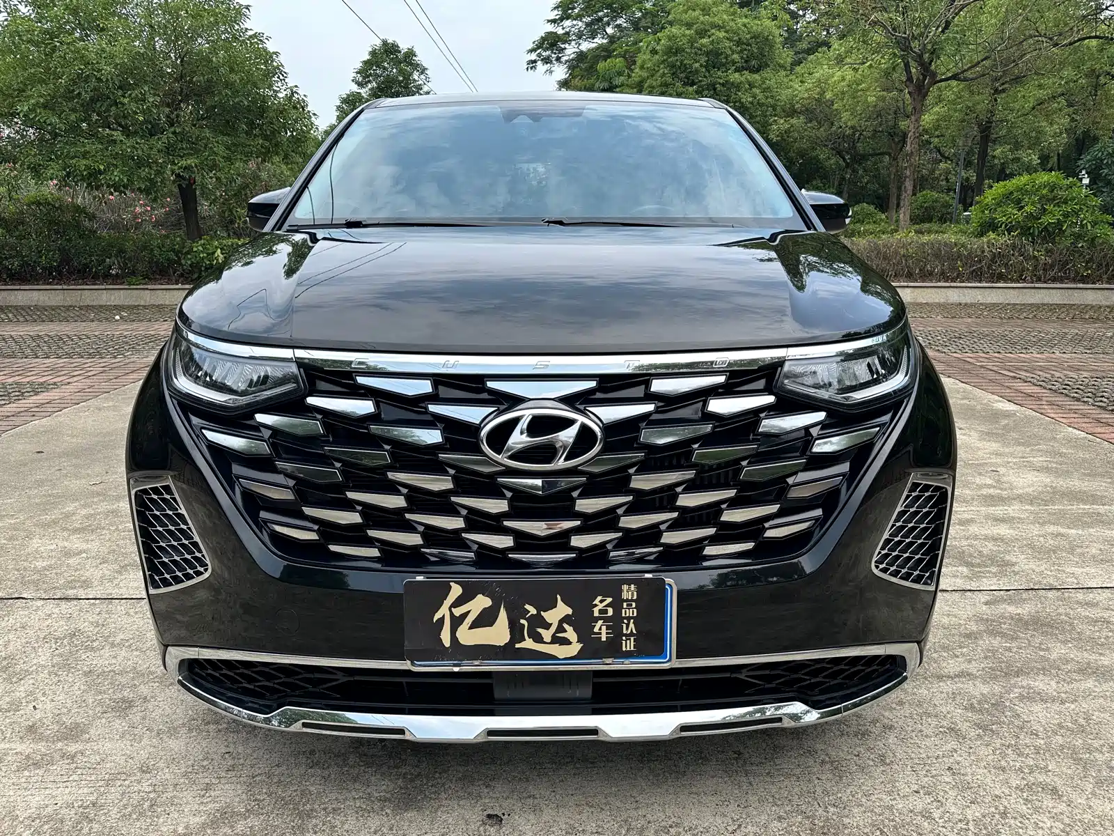 صورة 2 - Hyundai Custo