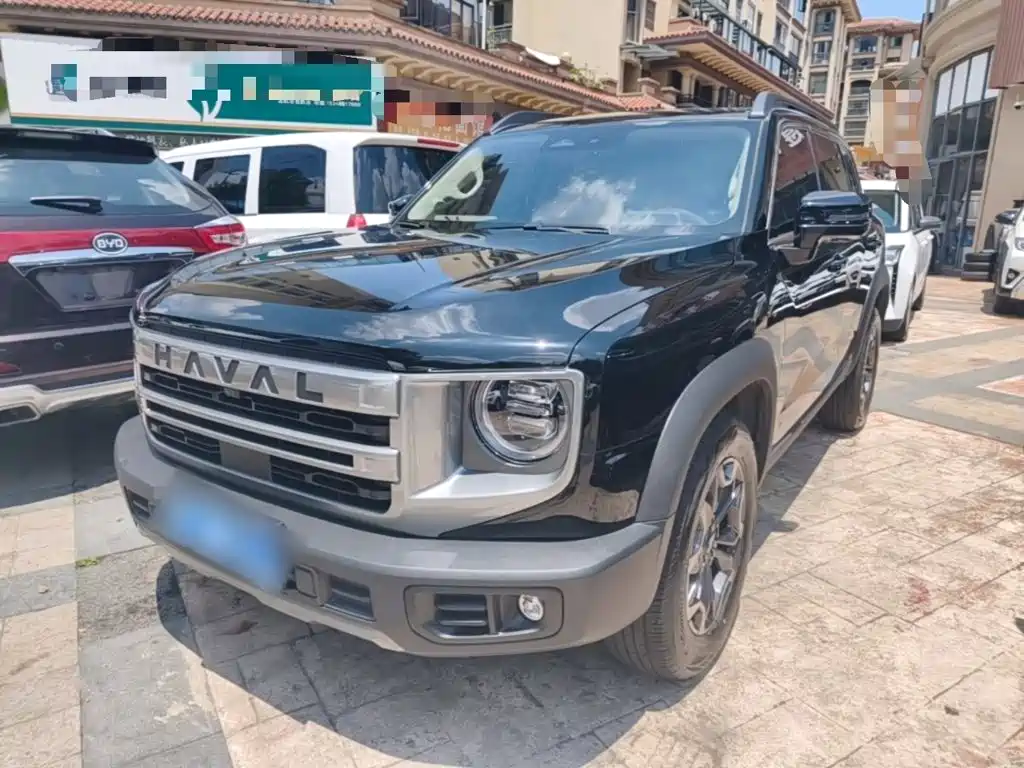 Haval Dargo 2024 2024 2.0T DCT Chinese Rural Dog Edition