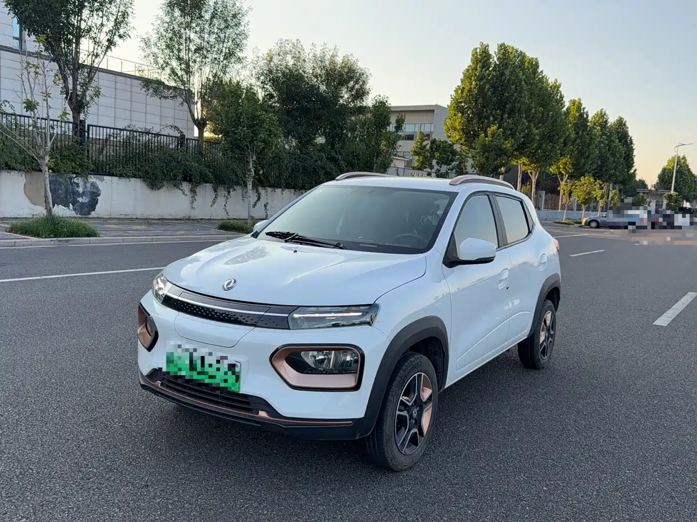 Dongfeng Yipai Nano BOX 2024 2022 Breeze Edition 201KM Standard