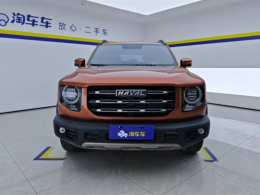 Haval Big Dog 2021 1.5T DCT 2WD Labrador Edition фото 2