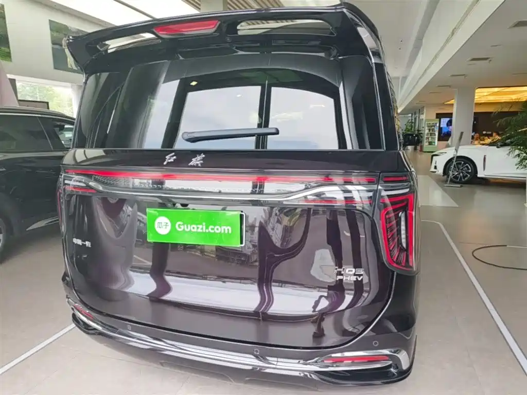 Hongqi HQ9 PHEV 2024 Model 2.0T AWD Luxury Edition фото 6