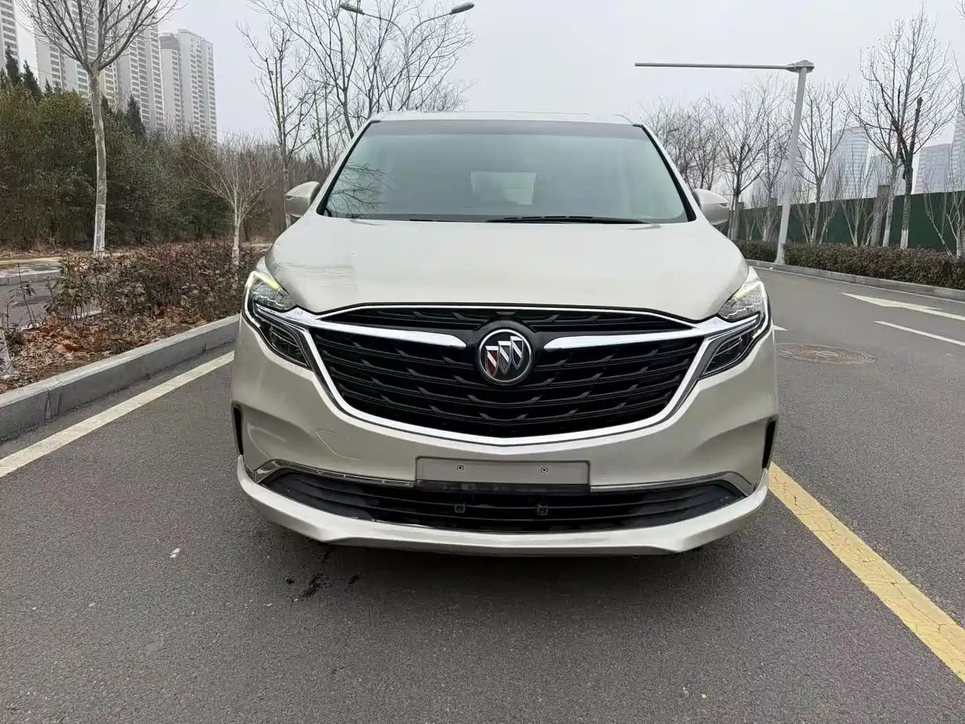 Buick GL8 2022 ES Landmark 653T Comfort фото 2