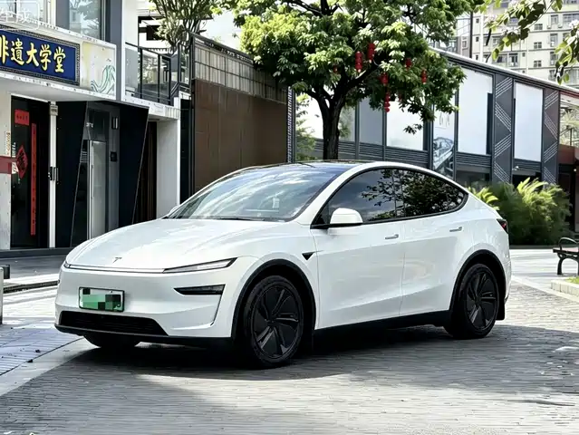  Tesla Model Y 2025 Rear-Wheel Drive