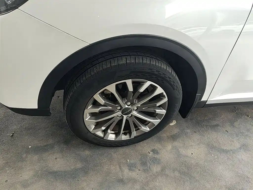Haval H6 2020 1.5GDIT Automatic Platinum Champion Edition фото 23