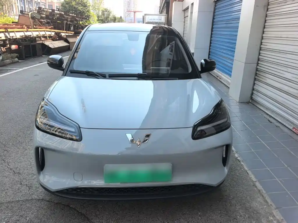 Wuling Motors Wuling Binguo PLUS 2025 2024 Model 330km 5-Seater