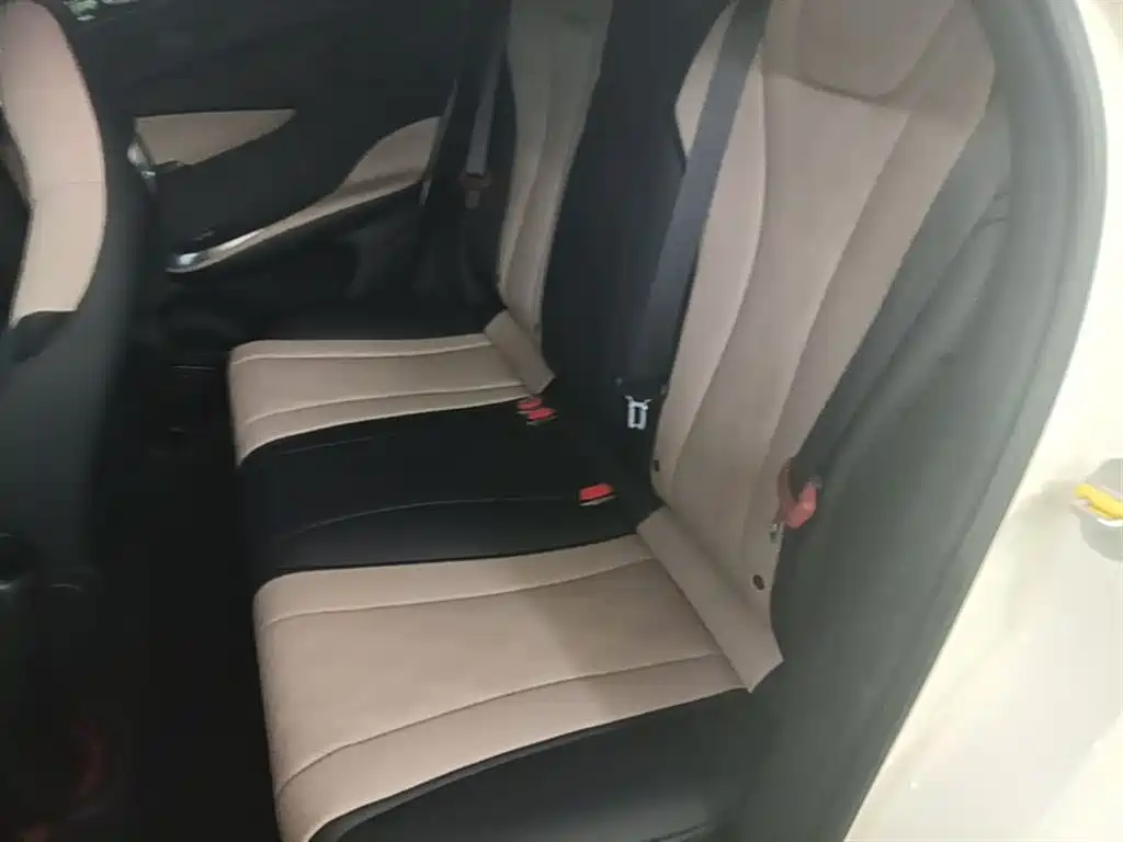 BYD Dolphin 2025 420km Freedom Edition фото 17