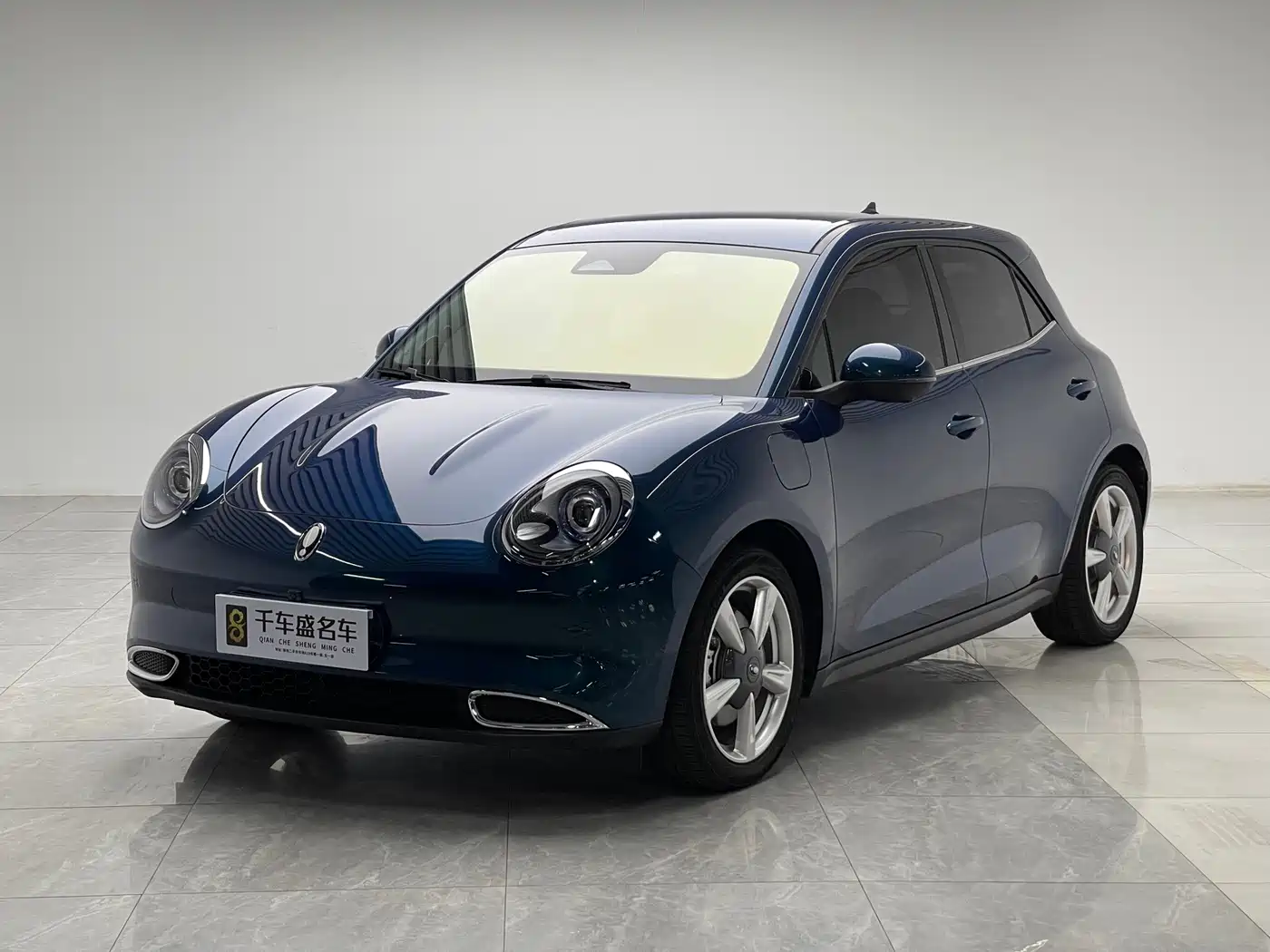 Ora Good Cat 2024 2023 401km Standard Range Luxury LFP