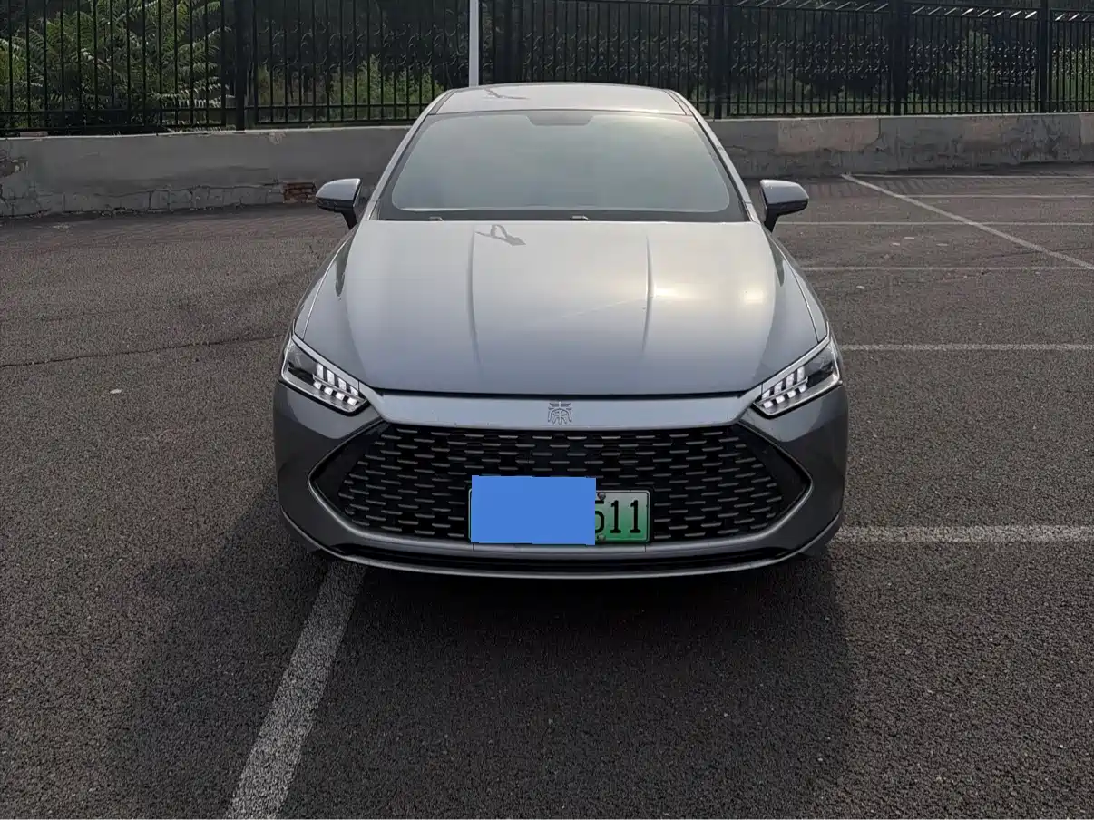 BYD Qin PLUS 2024 Glory Edition DM-i 55KM Surpass фото 2