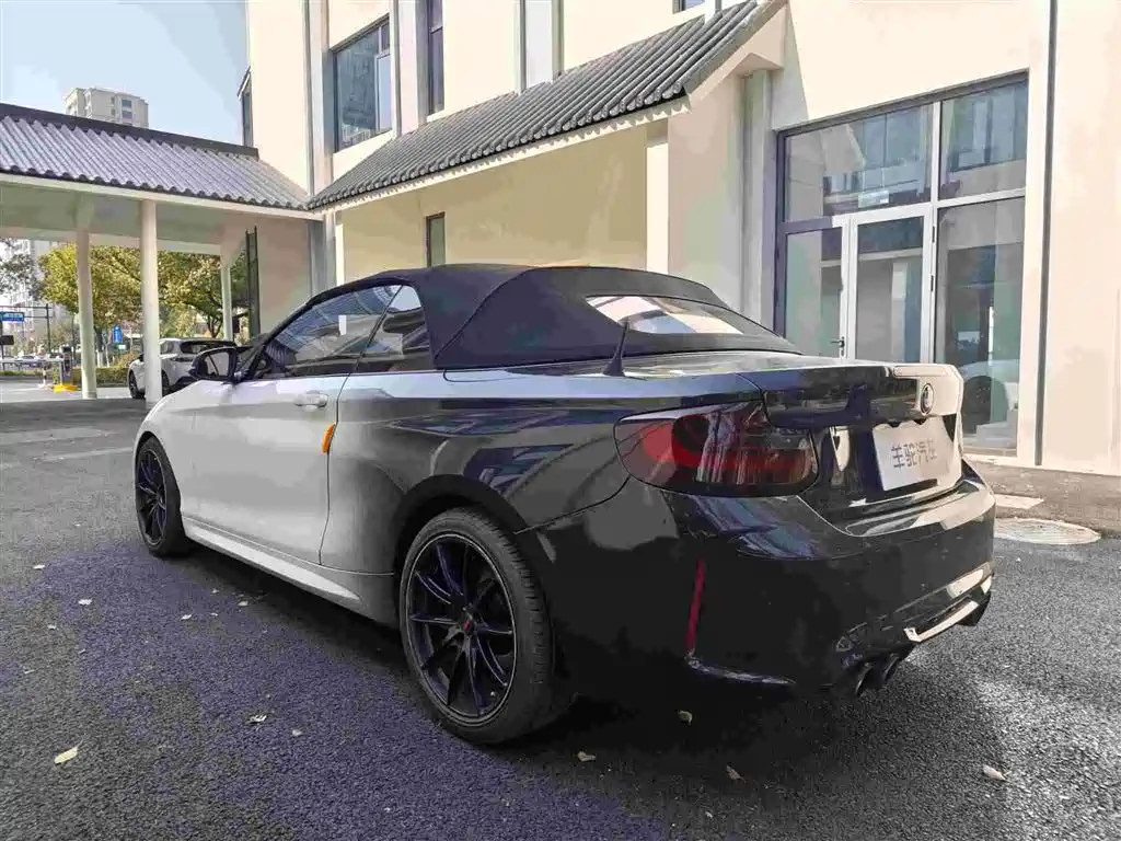 BMW 2 Series (Import) 2015 218i Convertible Coupe фото 17