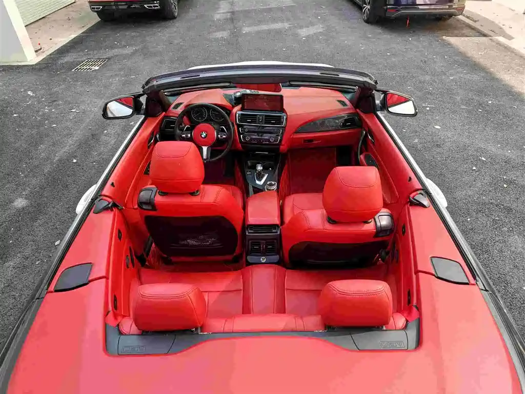 BMW 2 Series (Import) 2015 218i Convertible Coupe фото 10