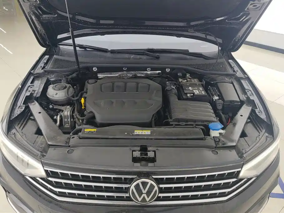 Volkswagen Magotan 2025 Popular Edition 330TSI DSG Luxury фото 10