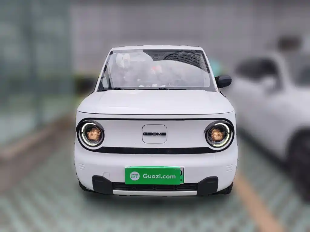 Фото 2 - Geely Galaxy Panda