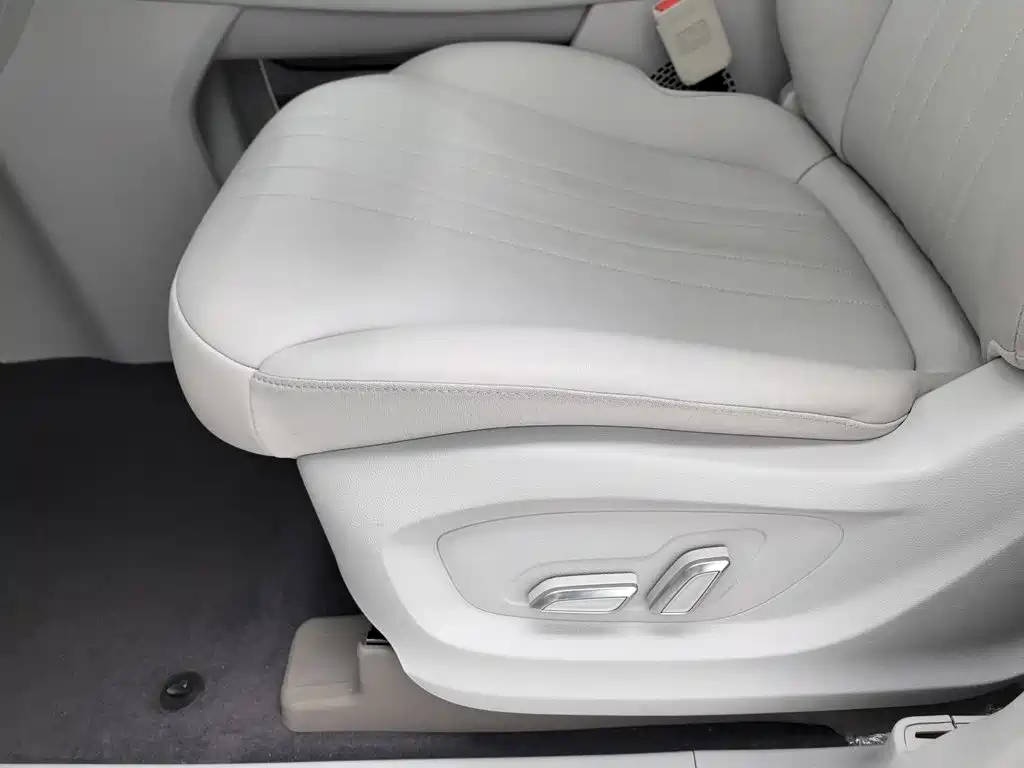 Фото 20 - Roewe iMAX8 EV
