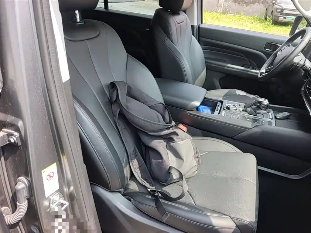 Haval H9 2024 2.0T Gasoline AWD Extreme Edition фото 25
