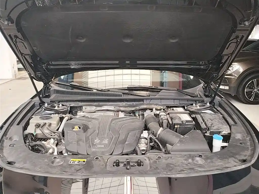 Hongqi H5 2023 2.0T Auto Smart Connect Flag Comfort фото 16