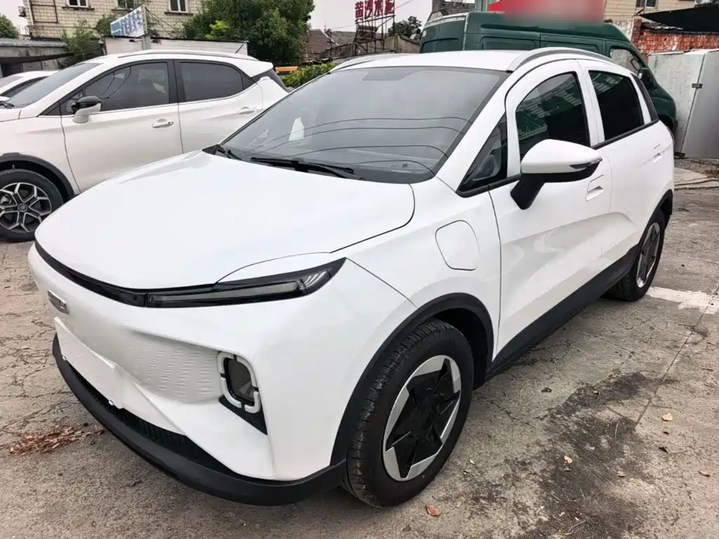 Geely Geometry E Firefly 2024 2024 Model 301km Starlight