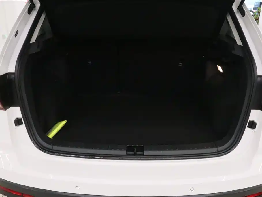 VOLKSWAGEN TUYUE NEW ENERGY