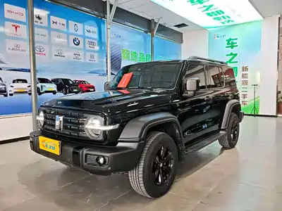 Tank 300