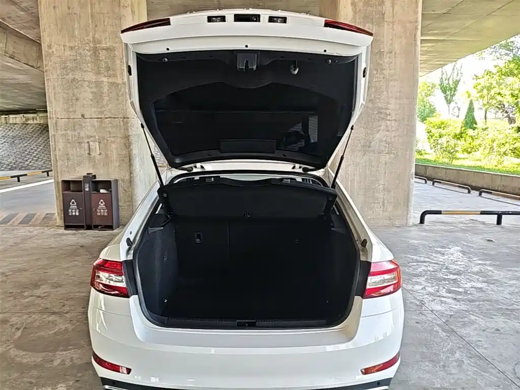 Škoda Octavia 2019 1.5L Automatic Smart Luxury China VI фото 19