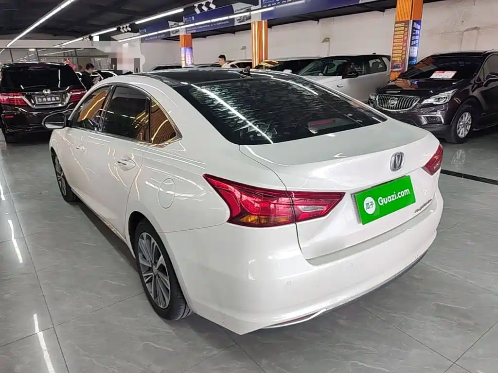 Changan Raeton CC 2018 2018 1.5T Auto Premium Class China V
