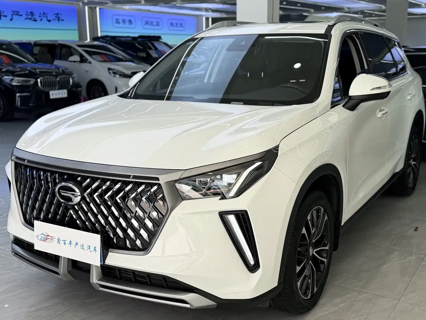 GAC Trumpchi Trumpchi GS4 PLUS 2023 2022 390T Automatic Galaxy Edition