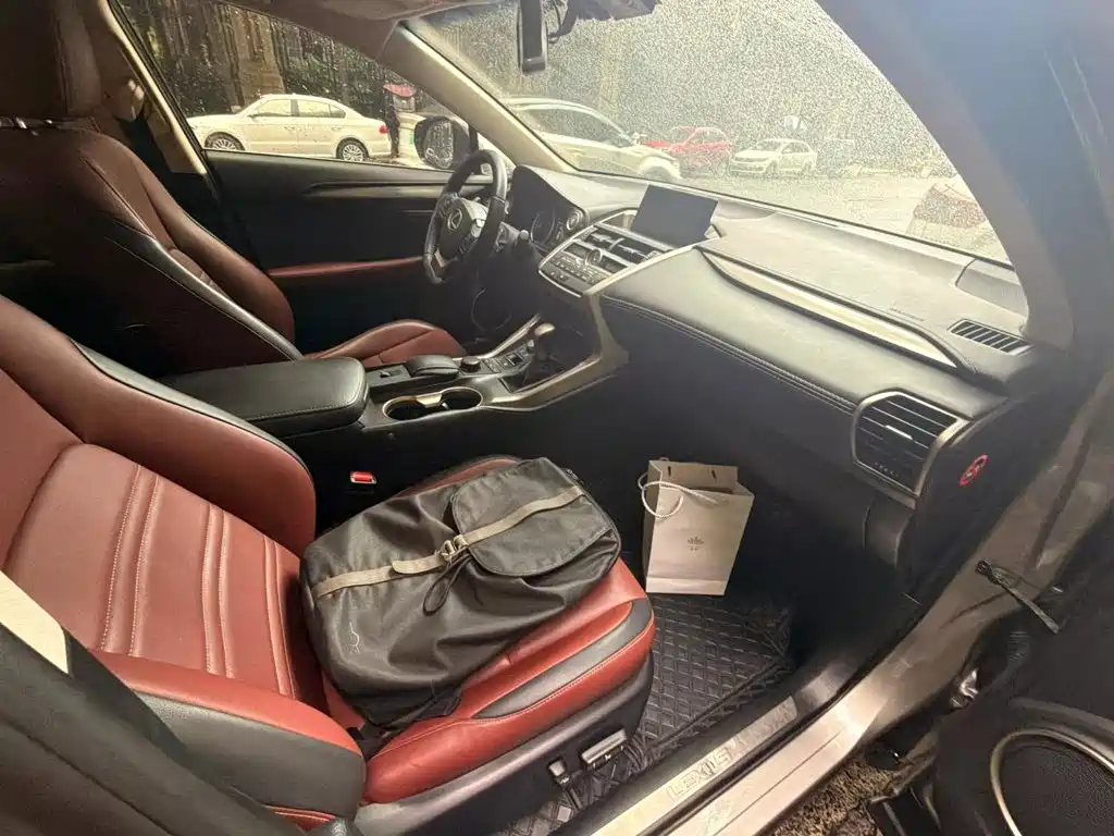 Фото 6 - Lexus NX