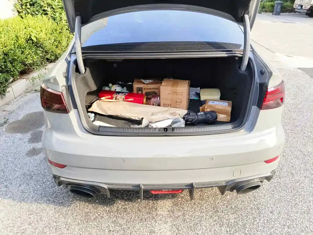 2019 Audi RS 3