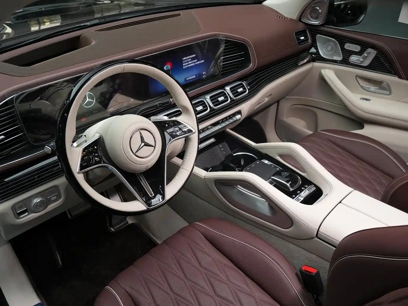 Mercedes-Benz Maybach GLS 2024 GLS 480 4MATIC фото 10