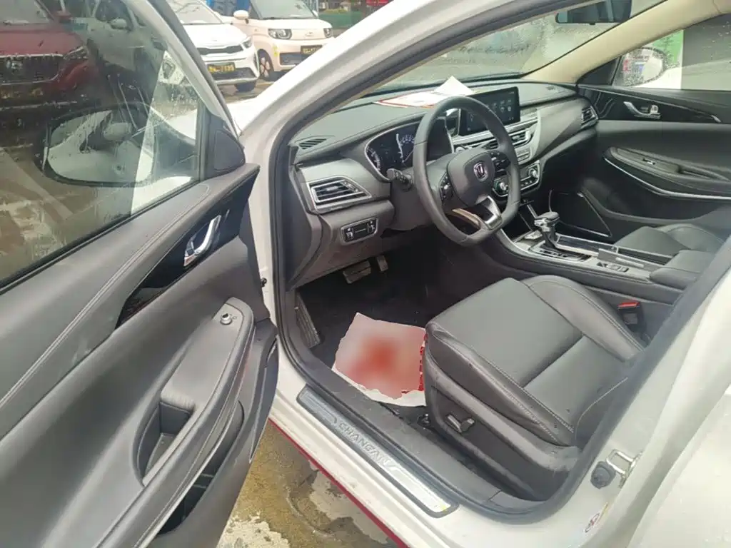 Changan Ruicheng CC 2021 2021 Blue Whale Edition 1.5T DCT Luxury