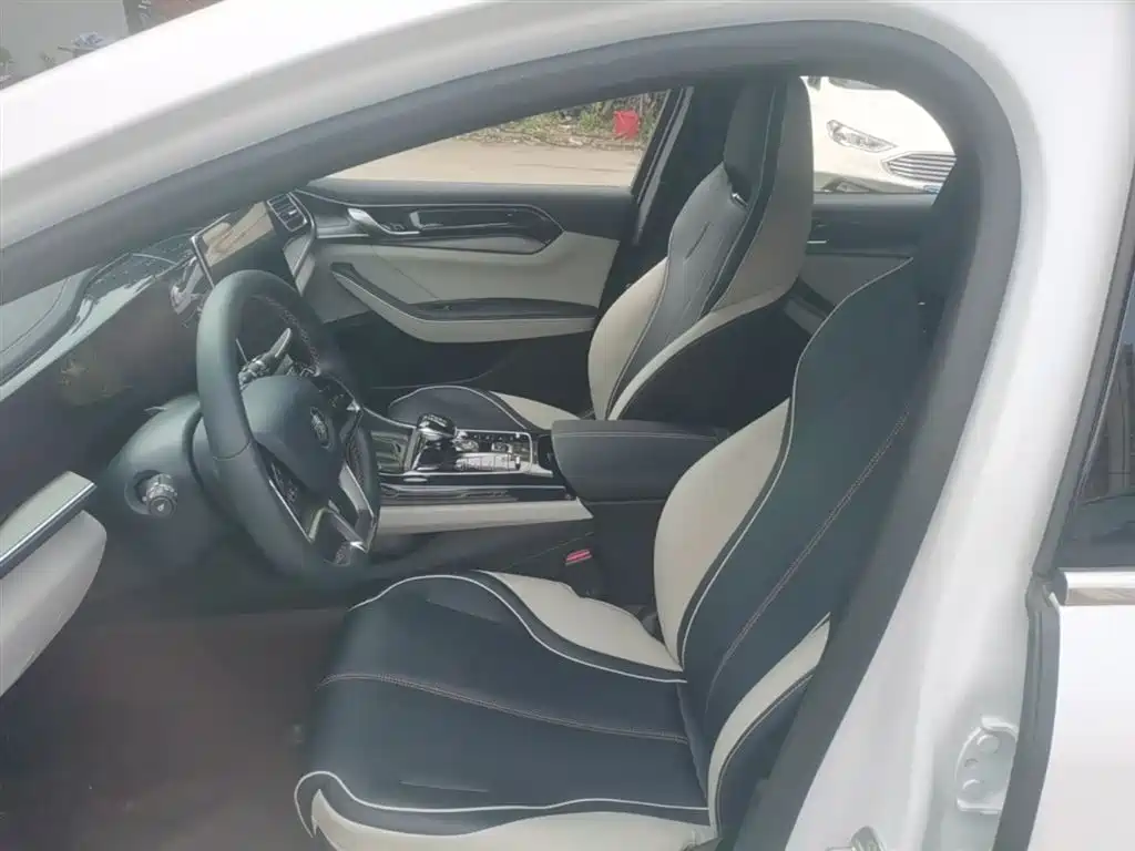 BYD Qin PLUS 2021 EV 500KM Premium Model фото 15